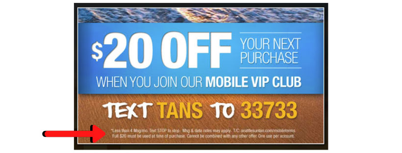 Text-to-Shortcode-Example