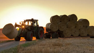 Photo of Bale Loaders Market All Sets For Continued Outperformance :ANGELONI,ARCUSIN,Akturk Makina