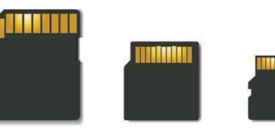 Photo of Top SD Memory Cards Market News: Analysis, Growth Drivers and Trending Factors