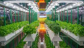 Photo of Hydroponics Technologies Market to grow at a CAGR of 17.89% in Near Future